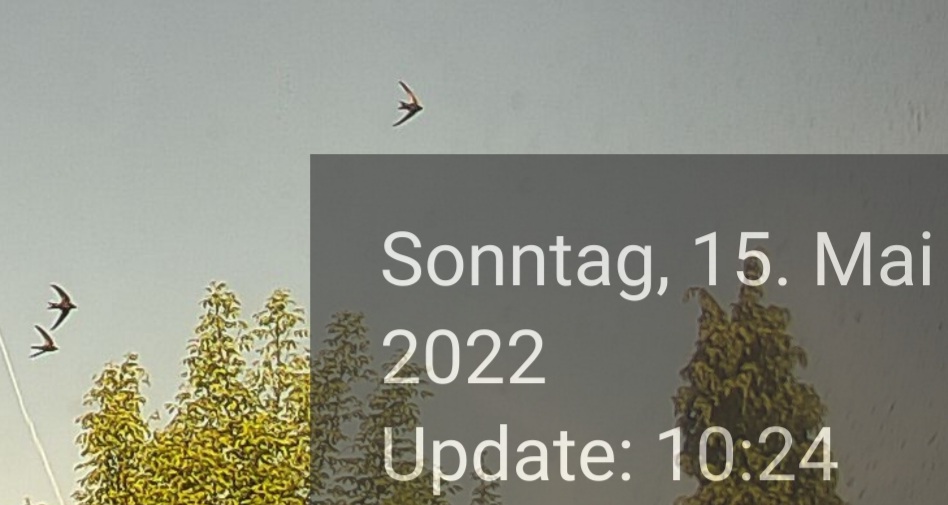 20220515_103423.jpg