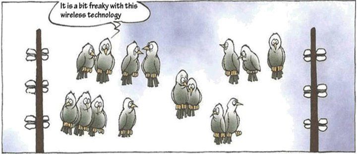 wireless_birds.jpg