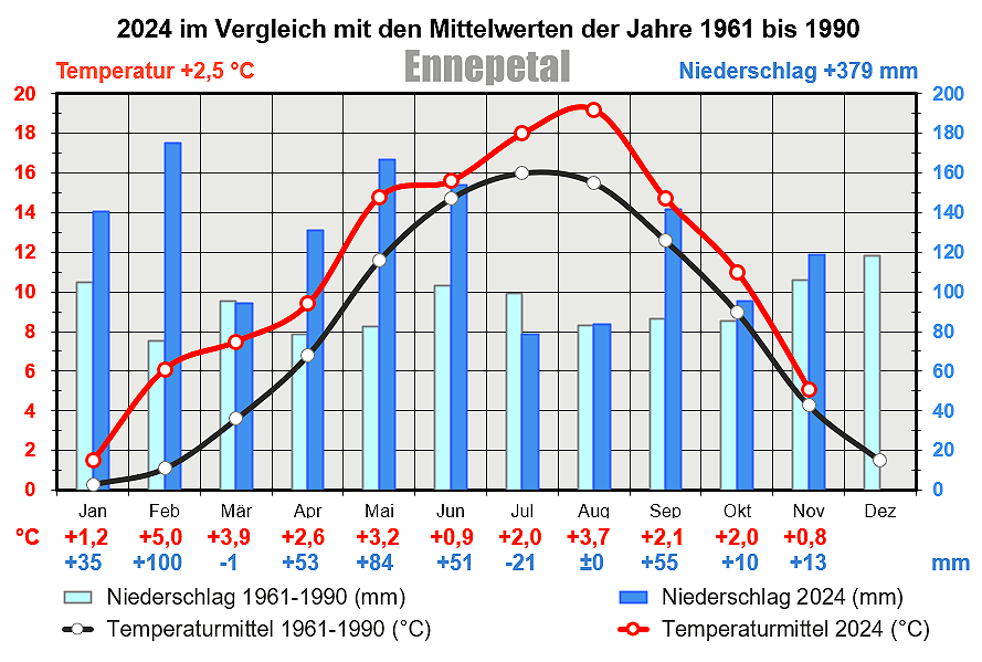 Vergleich neu 2024 bis November.PNG