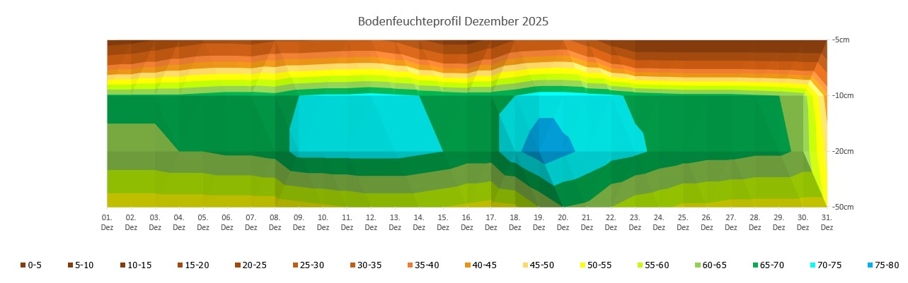 Bodenfeuchteprofil.jpg